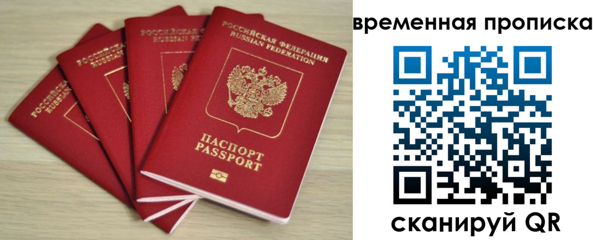 прописка для школы в Петровске